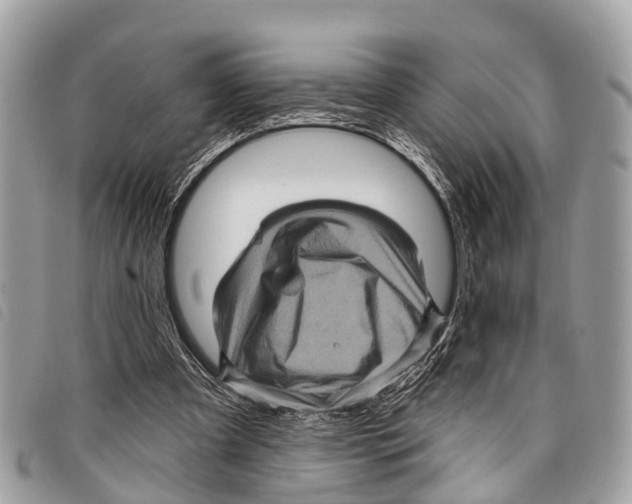 X0000097850297200804111135