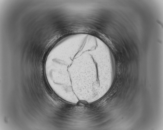 X0000097850298200804111135