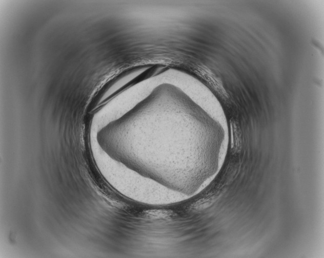 X0000097850300200804111135