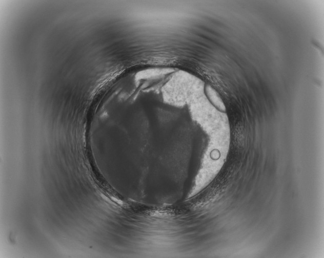 X0000097850303200804111134