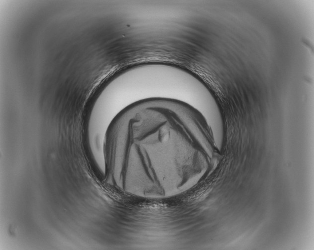 X0000097850304200804111134