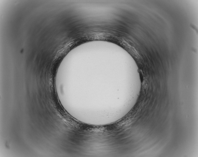 X0000097850306200804111134