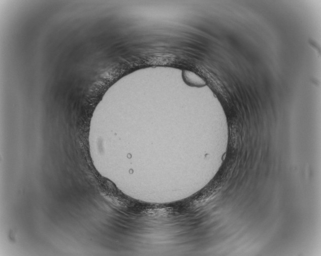 X0000097850307200804111134