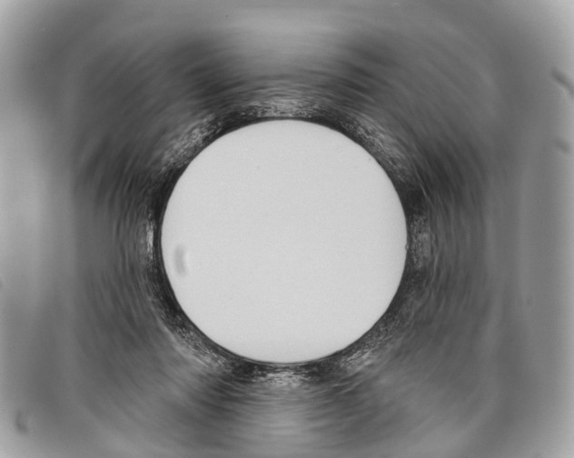 X0000097850310200804111134