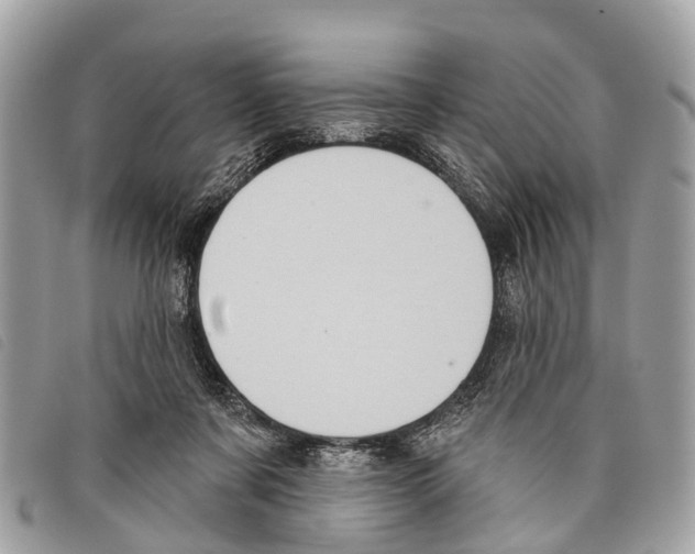 X0000097850311200804111134