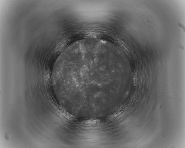 X0000097850314200804111134