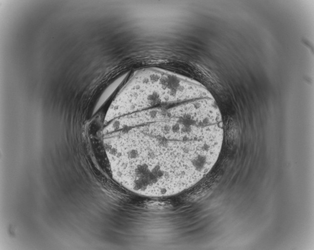 X0000097850315200804111134