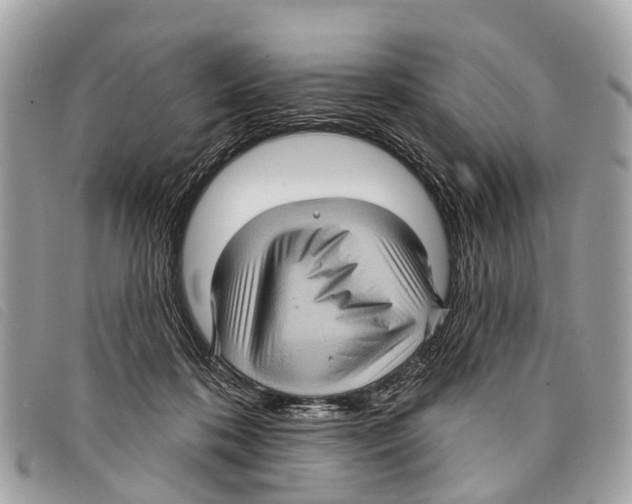 X0000097850316200804111134