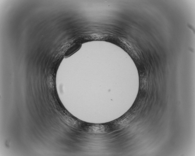 X0000097850317200804111134