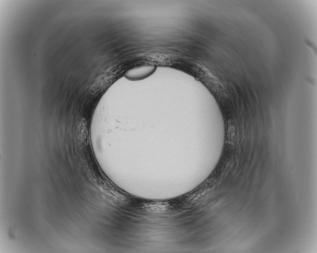 X0000097850318200804111134