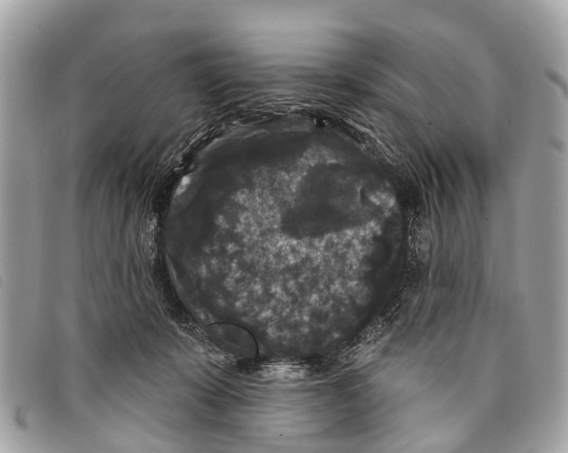 X0000097850319200804111134