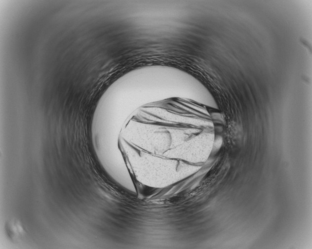 X0000097850320200804111134