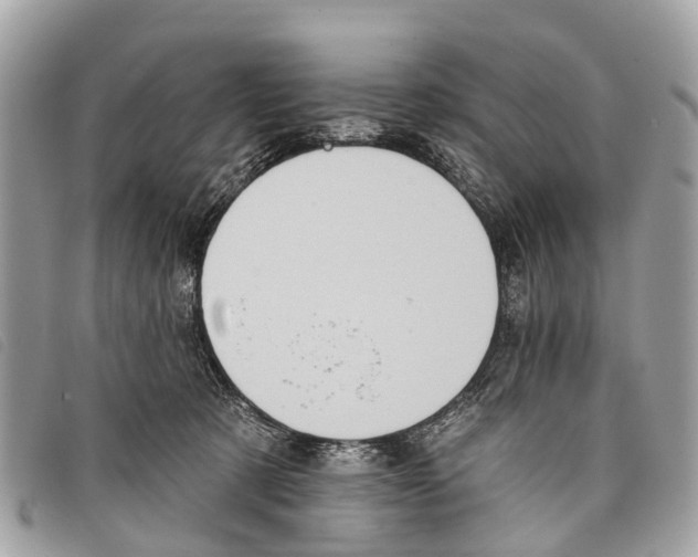 X0000097850321200804111134