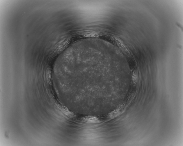 X0000097850322200804111134