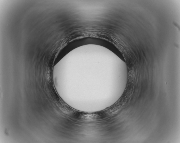 X0000097850323200804111134