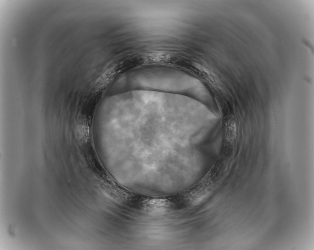 X0000097850324200804111134