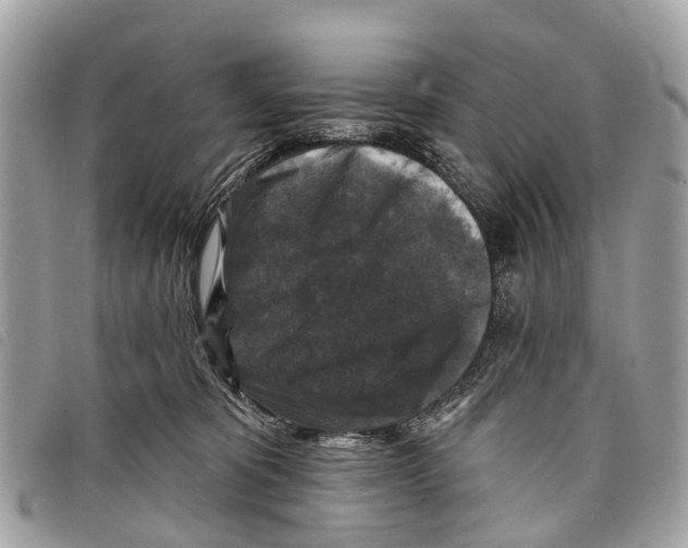 X0000097850325200804111134