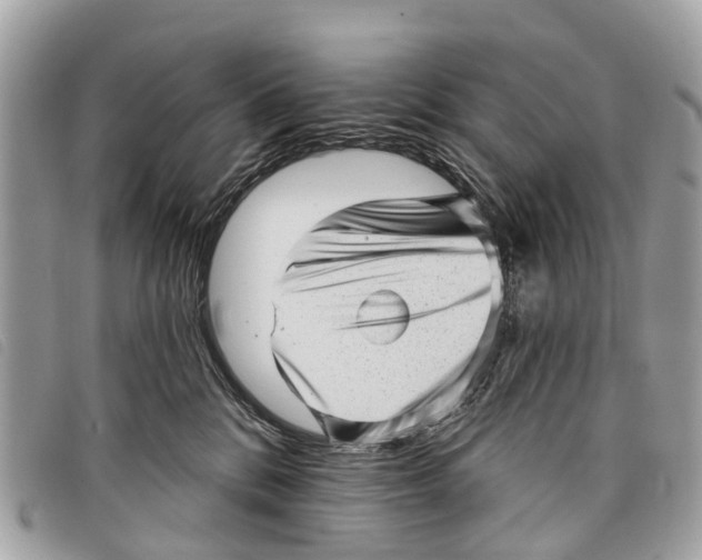 X0000097850328200804111134