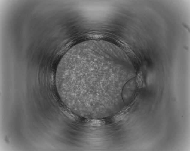 X0000097850330200804111134