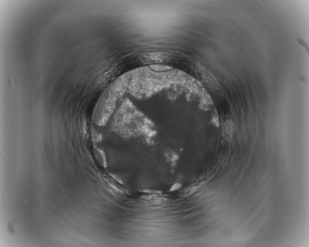 X0000097850331200804111134