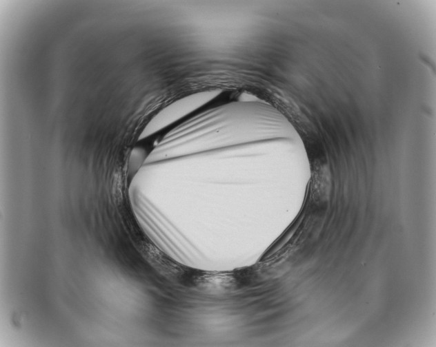 X0000097850333200804111134