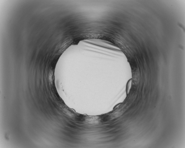 X0000097850334200804111134