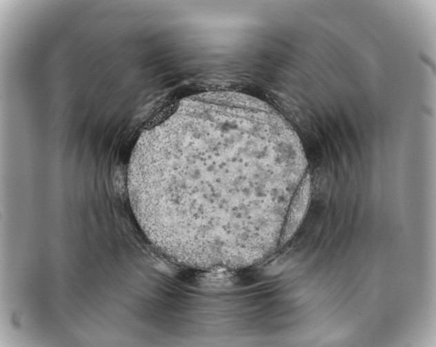 X0000097850335200804111134