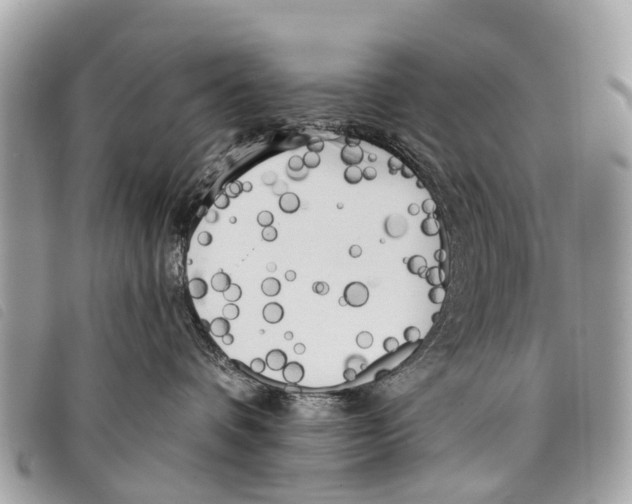 X0000097850336200804111134