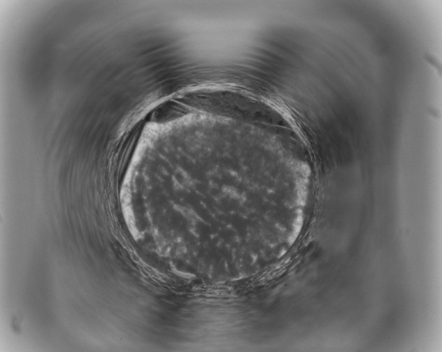 X0000097850337200804111133