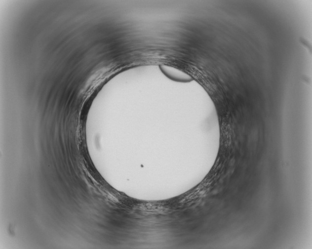 X0000097850338200804111133