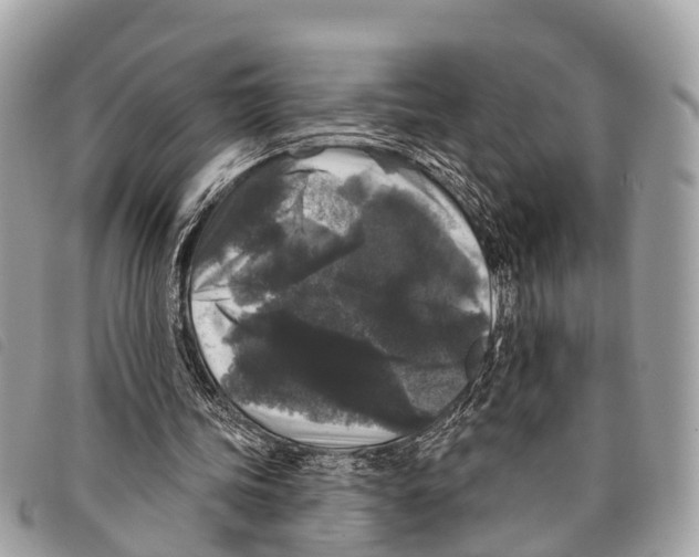 X0000097850339200804111133