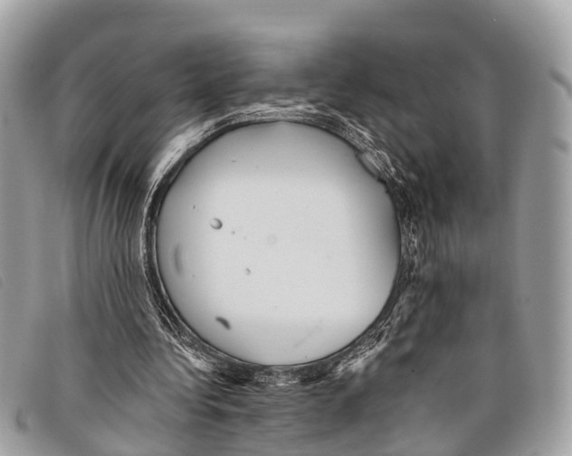 X0000097850340200804111133