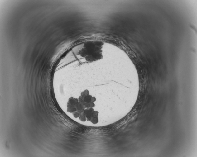 X0000097850341200804111133