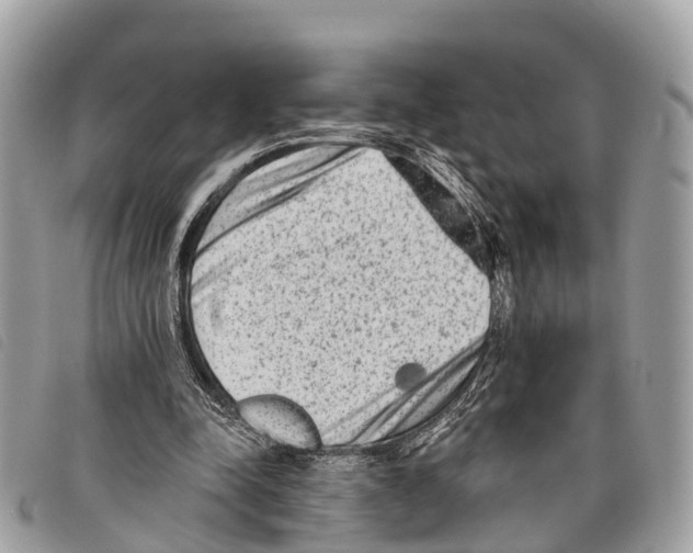 X0000097850342200804111133