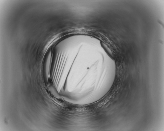 X0000097850344200804111133