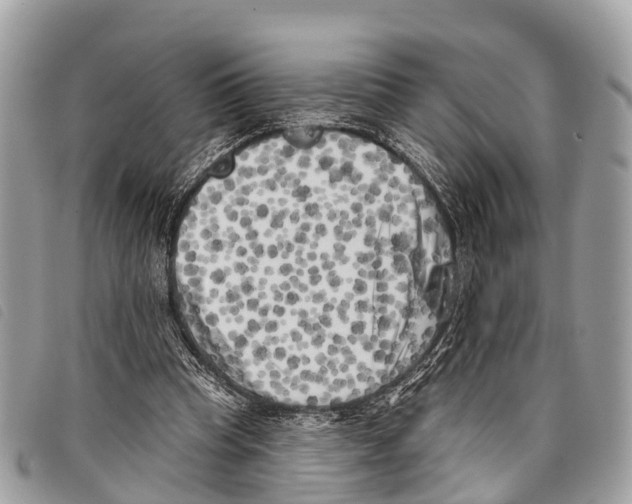 X0000097850345200804111133