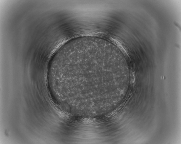 X0000097850346200804111133