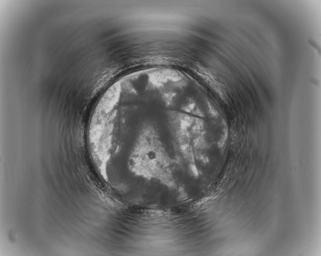 X0000097850347200804111133