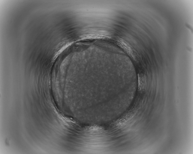 X0000097850348200804111133