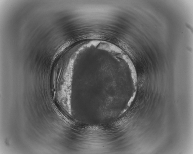 X0000097850349200804111133