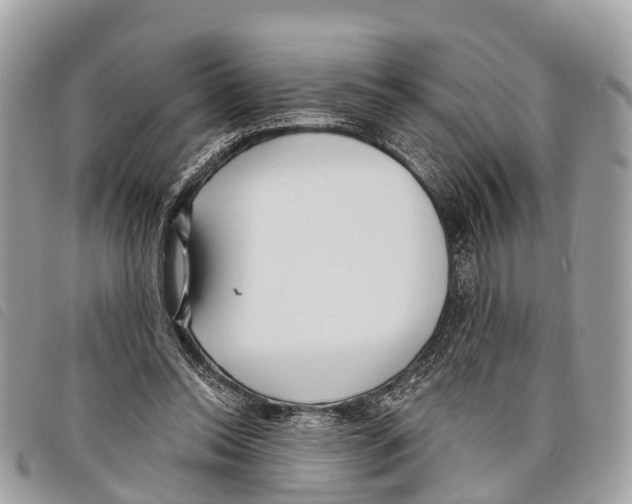 X0000097850350200804111134