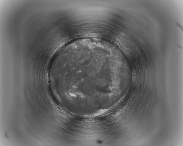 X0000097850351200804111134