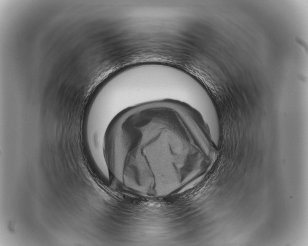 X0000097850352200804111134