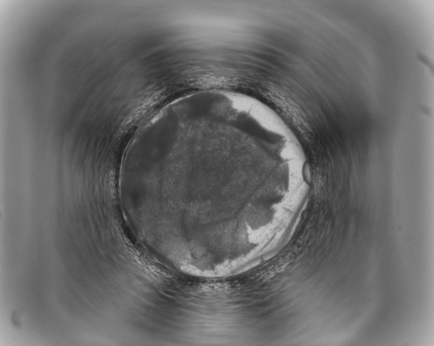 X0000097850353200804111134