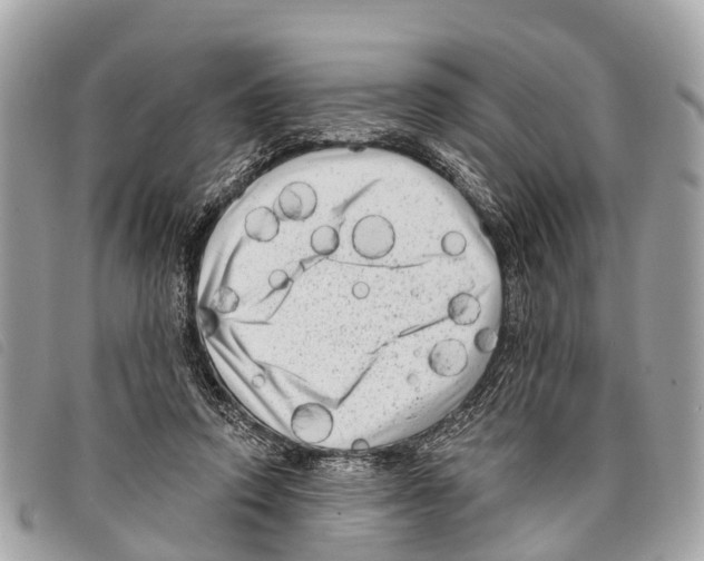 X0000097850354200804111134