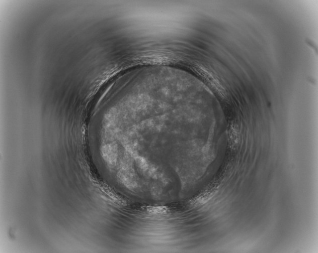 X0000097850355200804111134