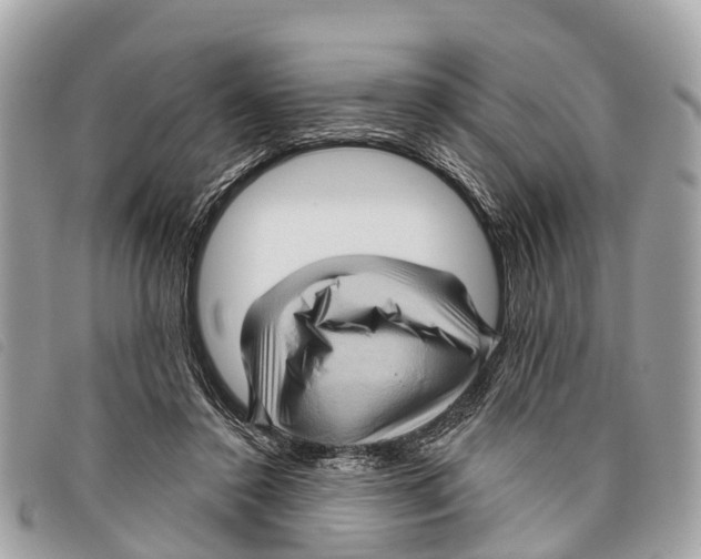 X0000097850356200804111134