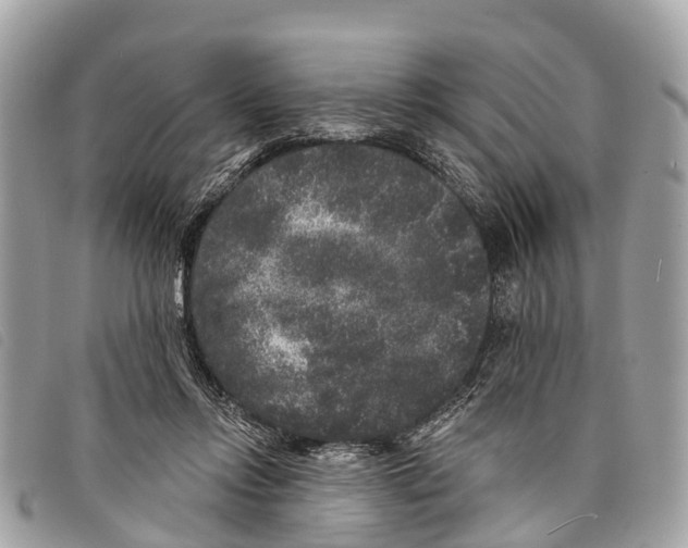 X0000097850358200804111134