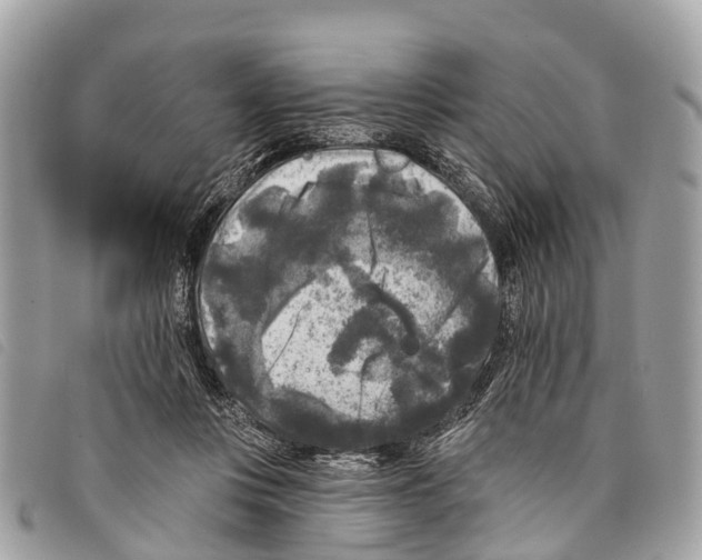 X0000097850359200804111134