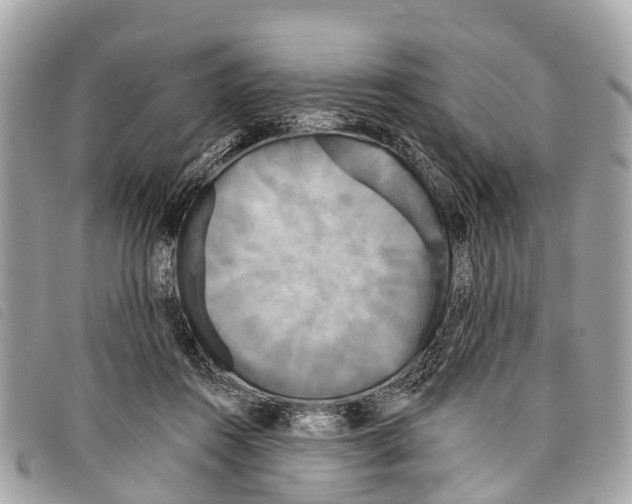 X0000097850360200804111134